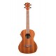 Kala Ukulele Tenor w/EQ