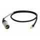 Digiflex Câble Audio 6' - Diviseur Mono 1/8 à XLR Mâle