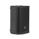 LR Baggs iBeam+Element P/U's w/Preamp