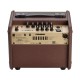 Fishman Loudbox Mini