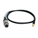Evans 12 pouces  pouces  UV1 Coated