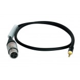 Evans 12 pouces  pouces  UV1 Coated