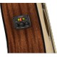 Fender Player Tele MN 3 Tone Sunburst (3TS)