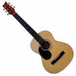 Beaver Creek Dreadnought 3/4 Gauchere