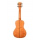 Kala Ukulele Concert en Acajou Exotique