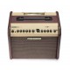 Fishman Loudbox Mini