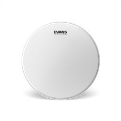 Evans 10 pouces  pouces  UV1 Coated