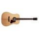 D'Addario EXP Coated Phosphore Bronze 12ST Light