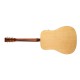 Norman B20 Natural Spruce Top GT QiT