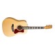 Norman B50 12 Cordes Naturelle SG Element + Tric