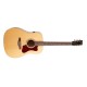 Norman B20 Natural Spruce Top GT QiT