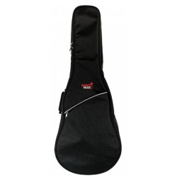Jay Turser JT-300 Guitare Électrique Noire