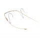 Evans 13 pouces  pouces  Genera G2 Clear