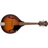 Fender PM-180E Mandoline Aged Cognac Burst